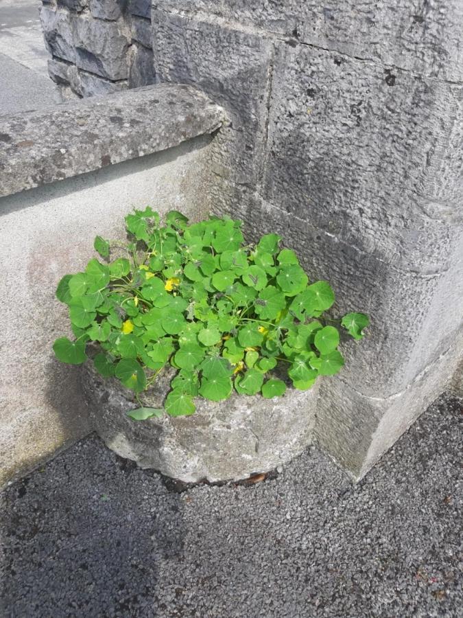 Strokestown Townhouse Apartments Buitenkant foto